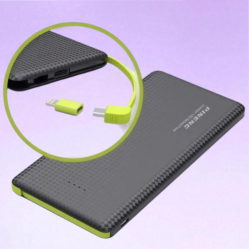 Power Bank 10.000mAh Pineng